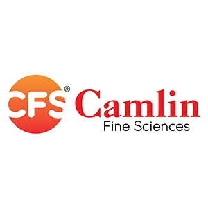 CAMLIN FINE SCIENCES logo